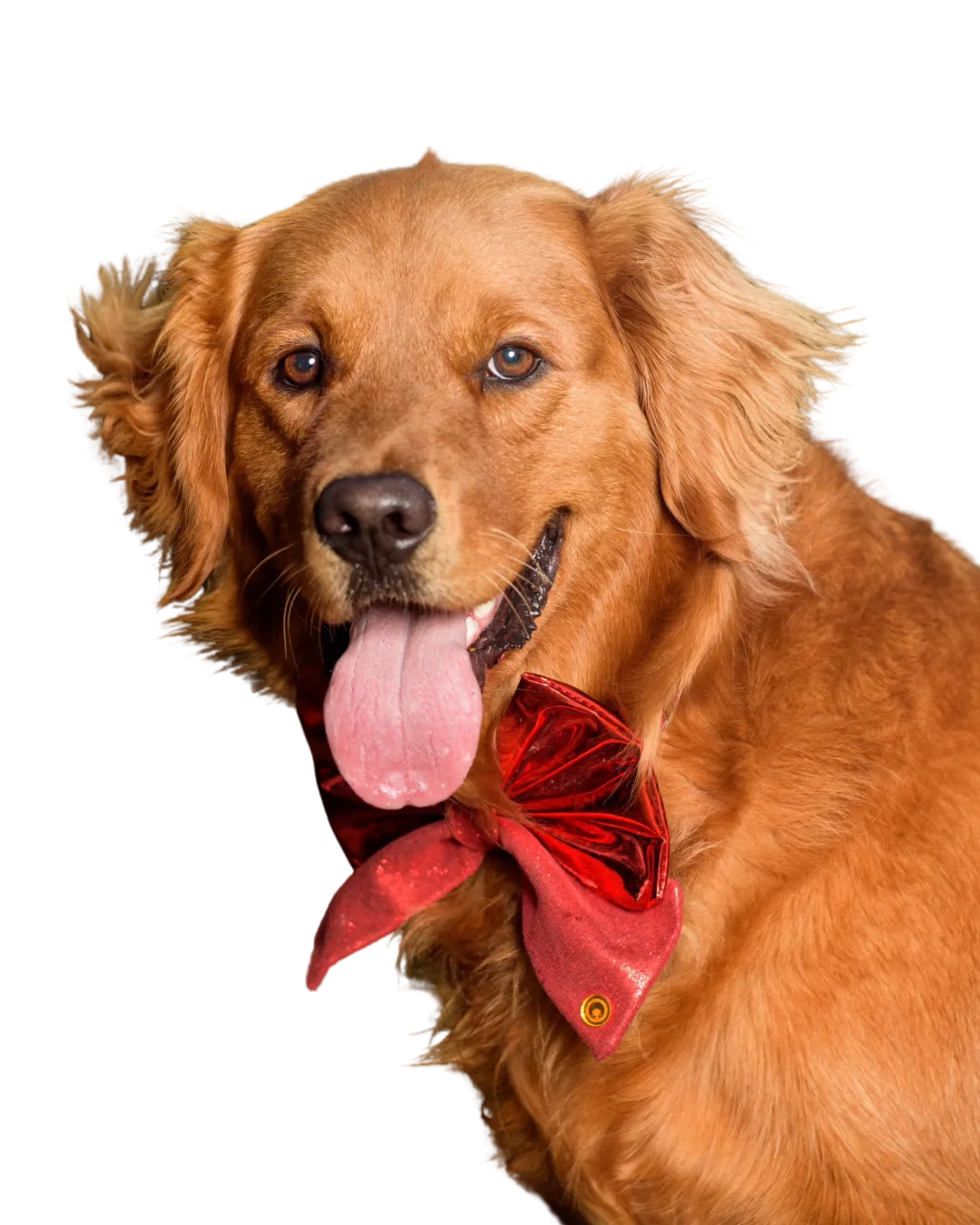 Ottis, la mascota del mes de Kustoms